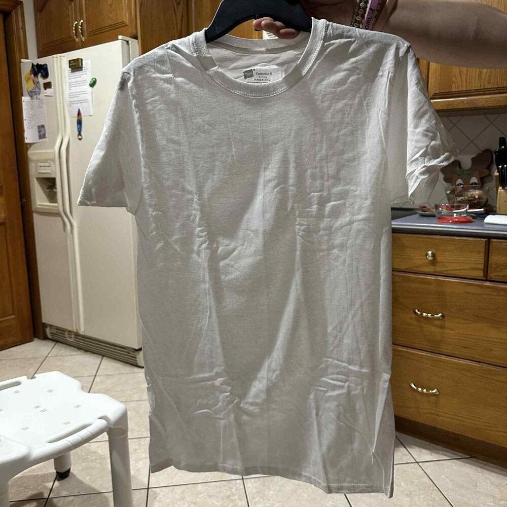 (S) Hanes Men's Authentic-T Stylish T Shirt Casual Plain T-Shirt (Small)